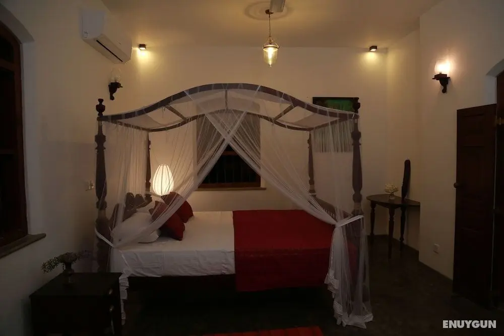 The Ginger House - Öne Çıkan Resim