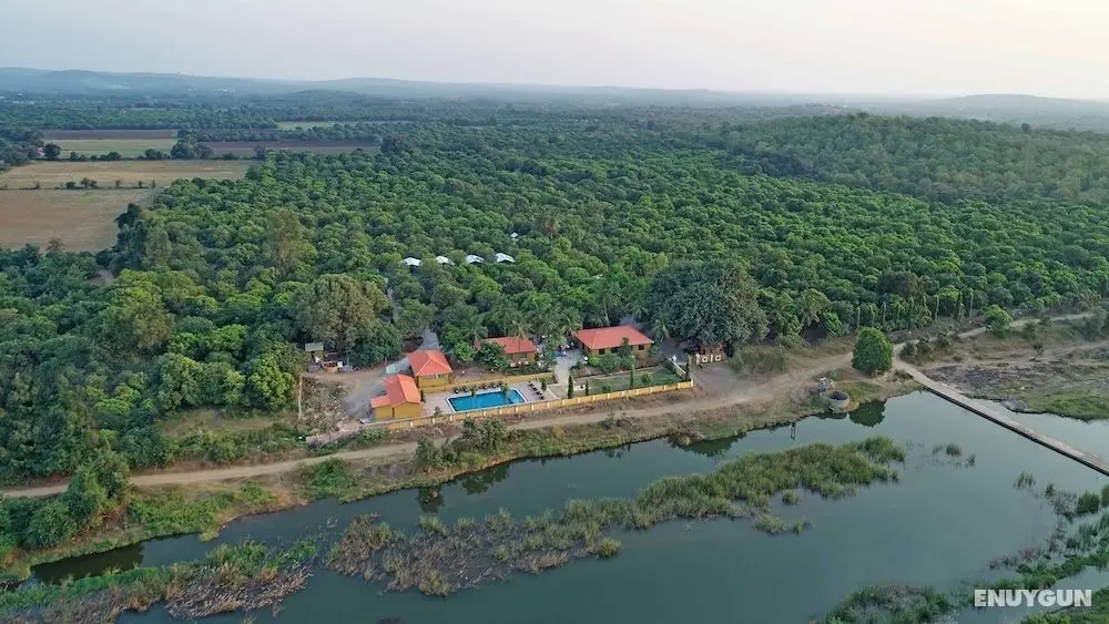 GIR LION SAFARI CAMP - Dış Mekan