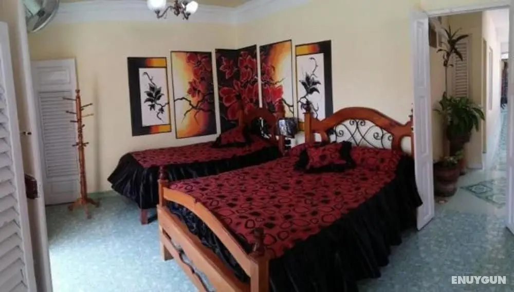 Girasol and Friends Rooms - Öne Çıkan Resim
