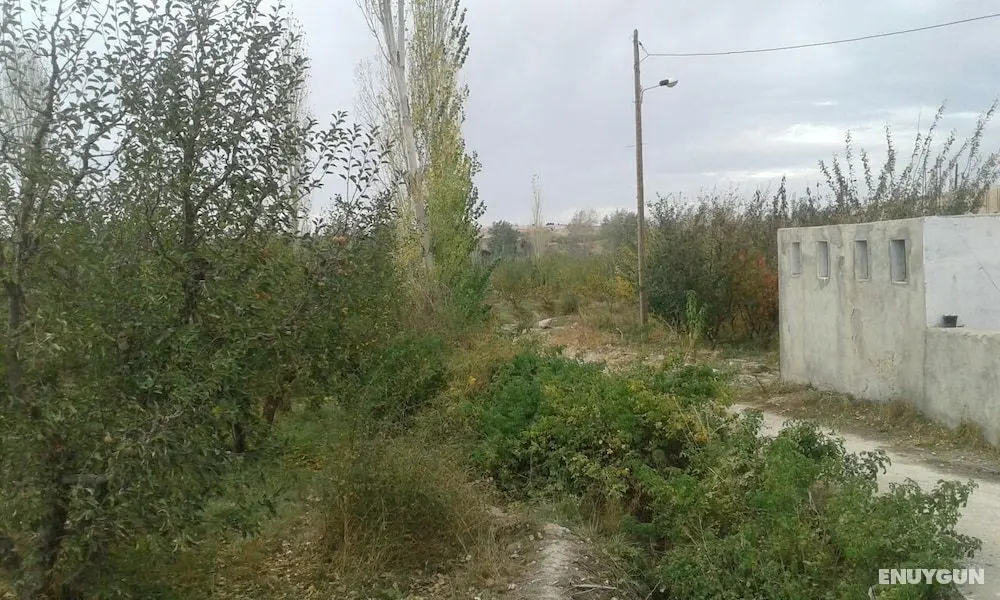 Gîte Ferme Dar Raho - Öne Çıkan Resim
