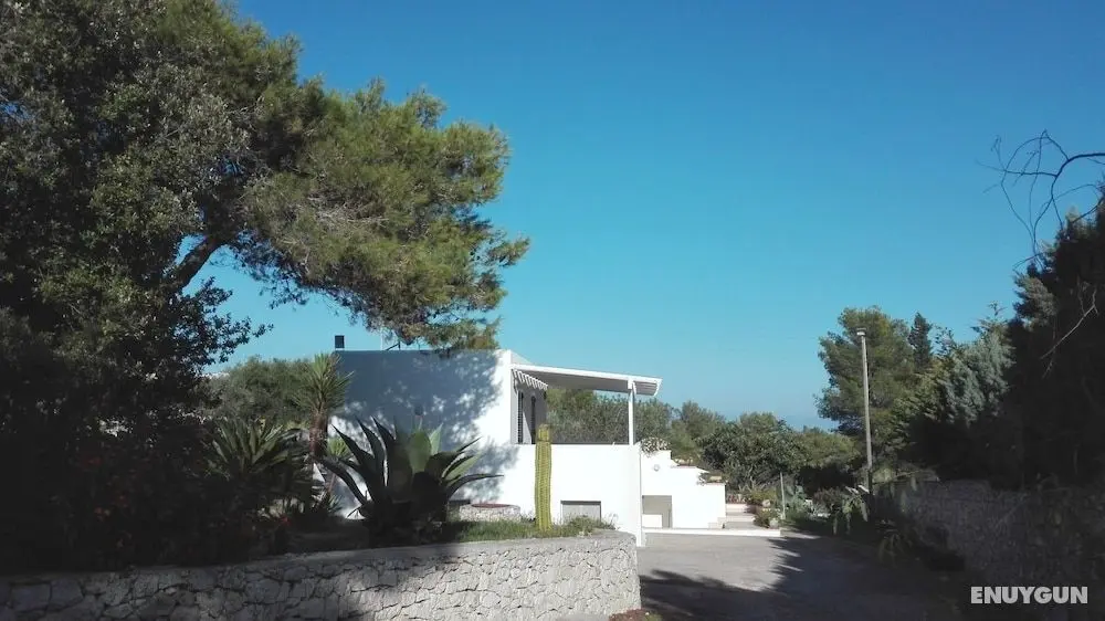 Villa Giulia - Dış Mekan
