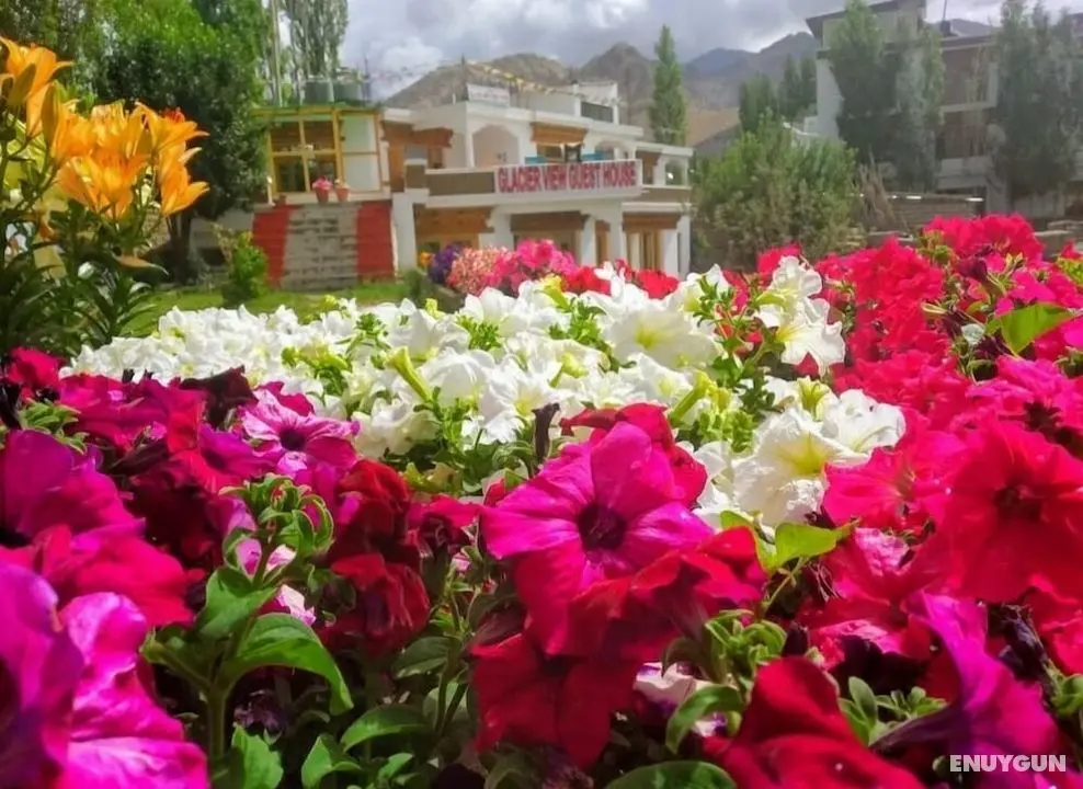 Glacier view guest House - Öne Çıkan Resim