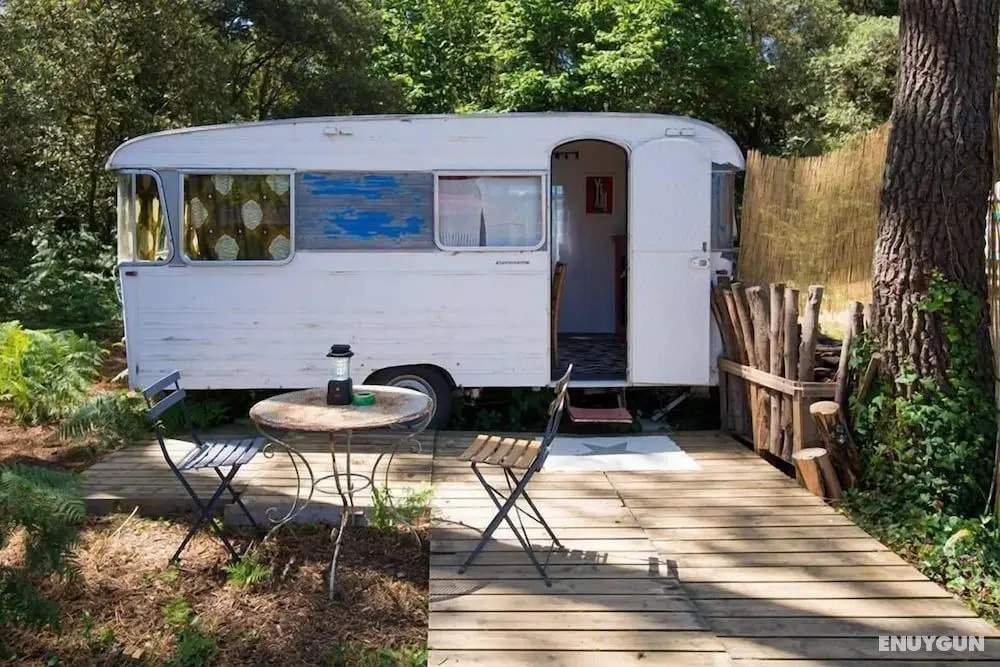 Glamping Insolite Dolly Waikiki - Oda Düzeni