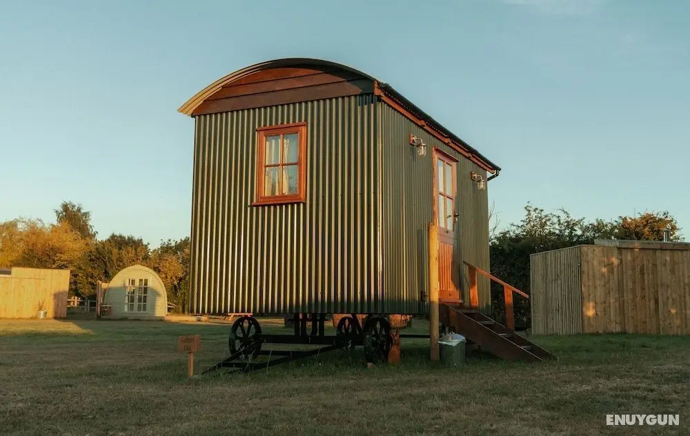 Glamping in Wiltshire in our Luxury Shepherds Hut - Dış Mekan