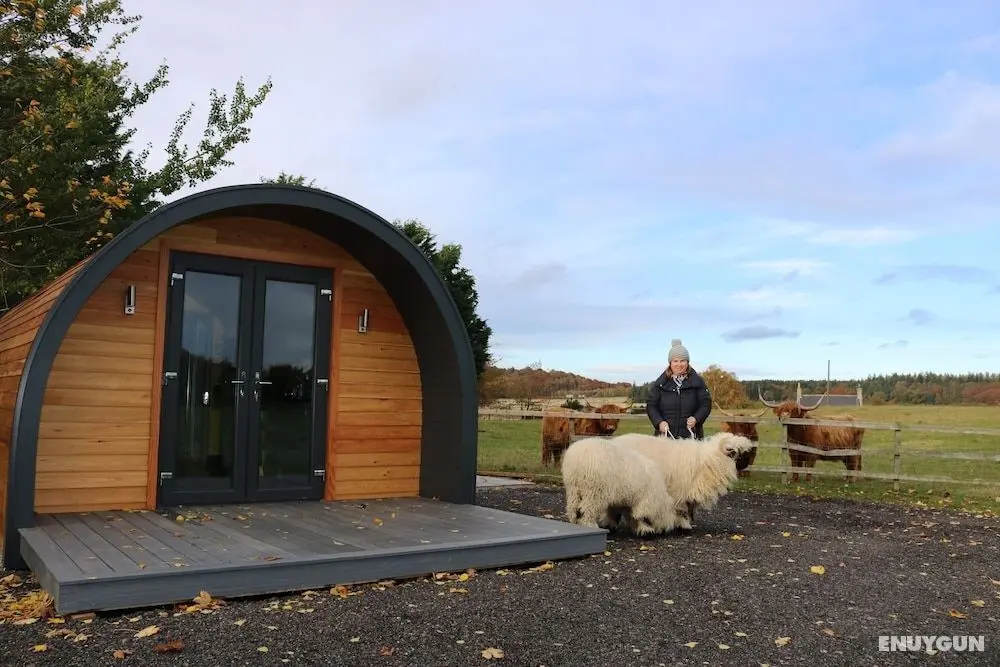 Glampods - 5 Berth Glamping Pod Elgin - Öne Çıkan Resim