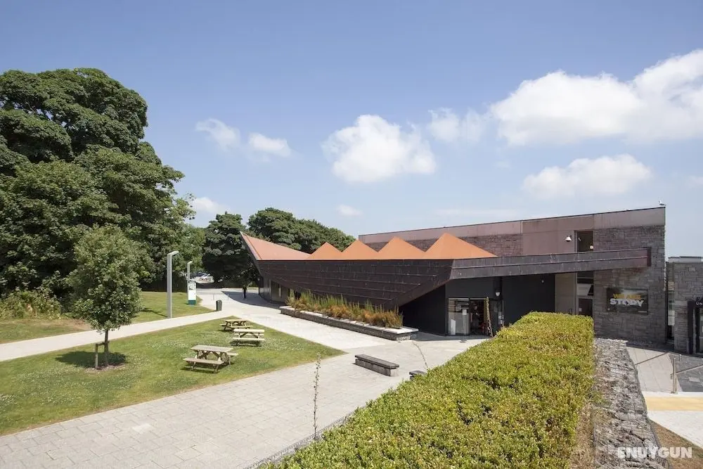 Glasney Rooms - Student Accommodation - Dış Mekan