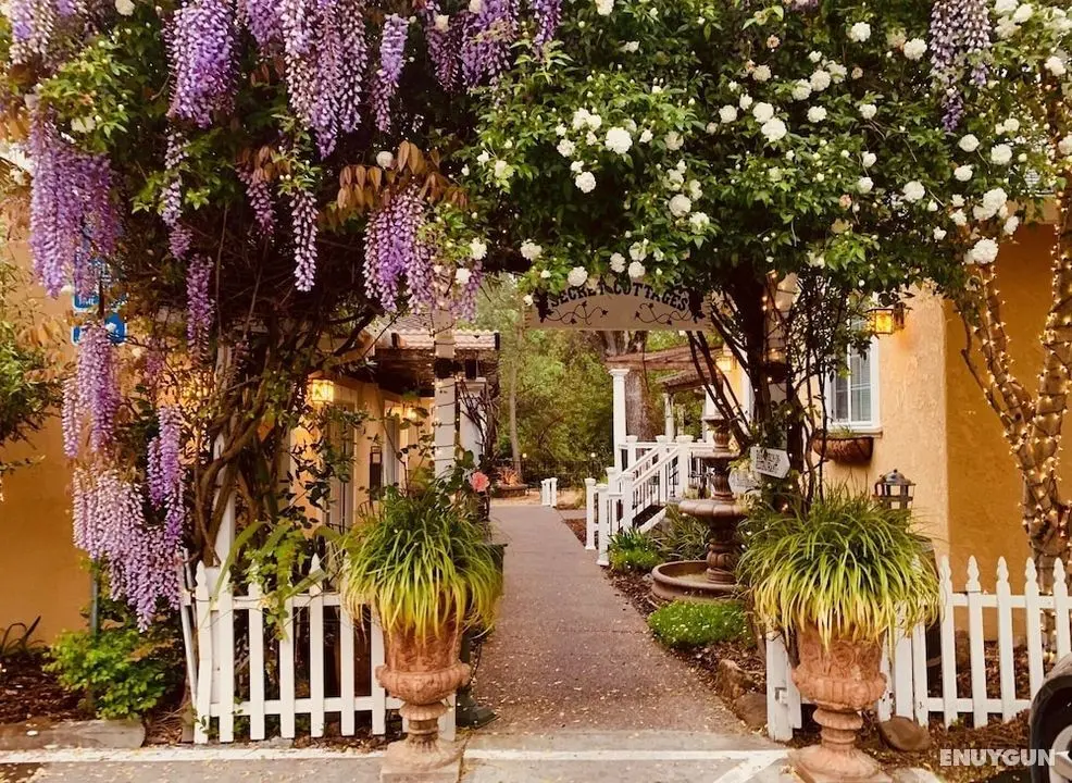 Glen Ellen Inn - Öne Çıkan Resim