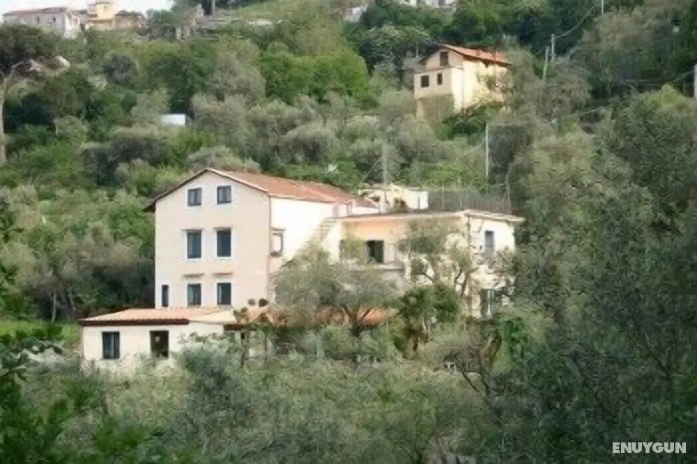 Gli Ulivi Agriturismo - Öne Çıkan Resim