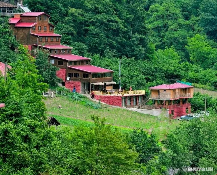 Gogalay Bungalov Hotel - Genel