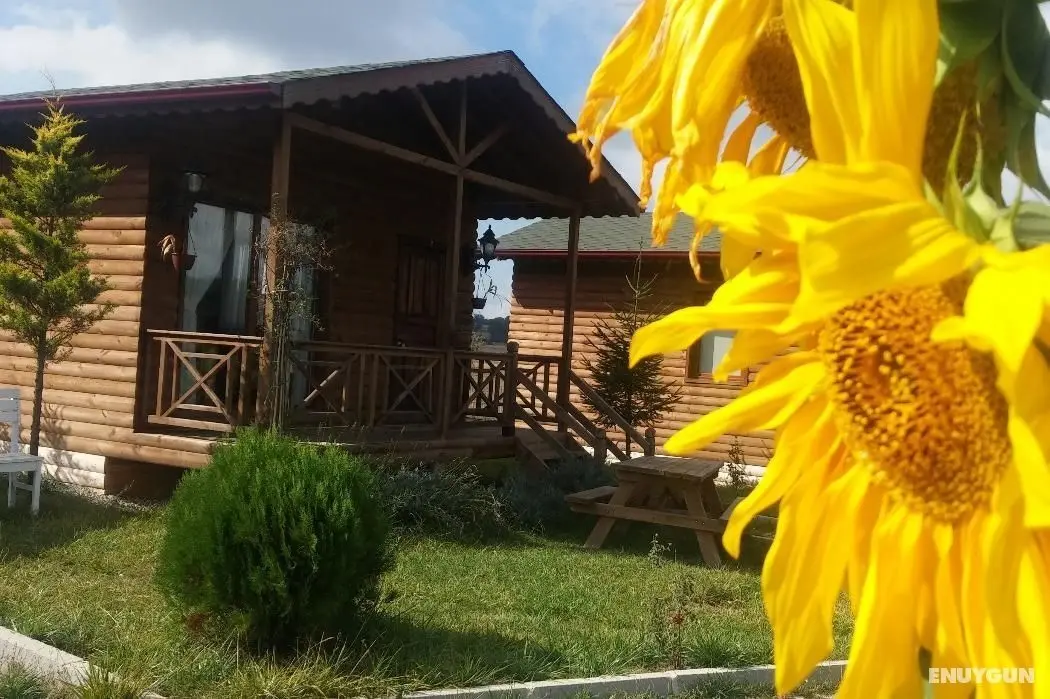 Gököz Natural Park - Dış Mekan