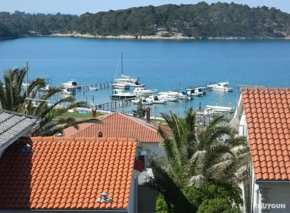 Gold - sea View - A1 - Öne Çıkan Resim