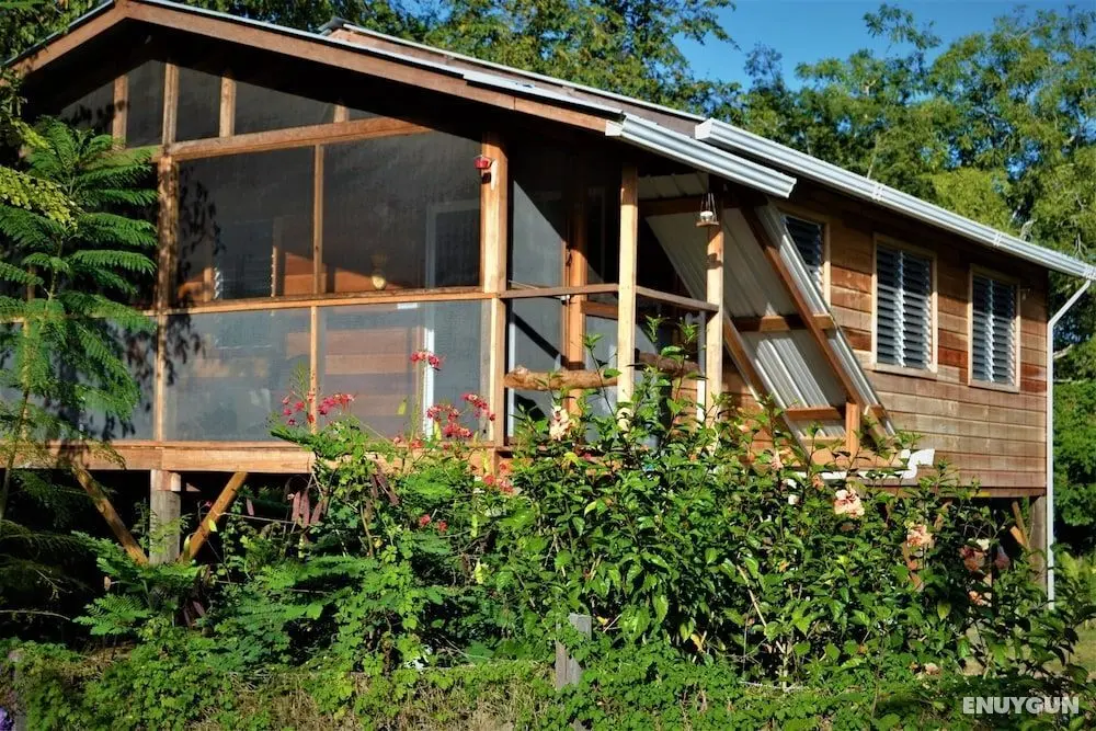 Gold Standard Approved Equipped 2 Bedroom Tree top Cottage, in Private Garden - Öne Çıkan Resim