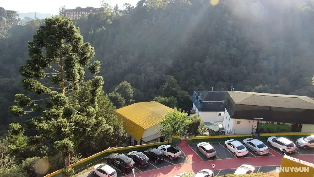 Golden Forest Pousada - Öne Çıkan Resim
