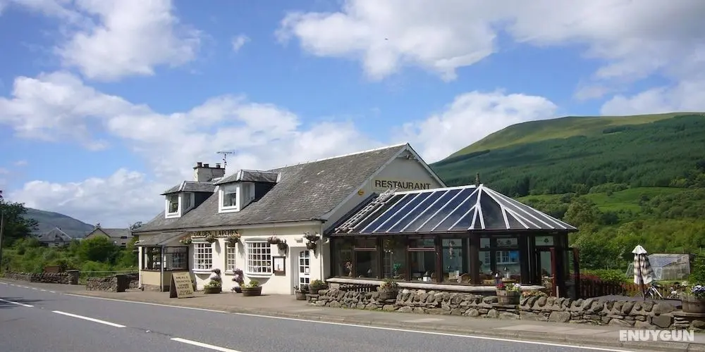 The Golden Larches Cafe and B&B - Öne Çıkan Resim