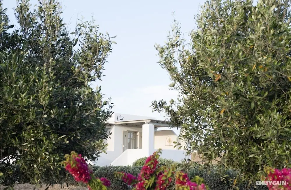 Golden Sand Paros - Öne Çıkan Resim