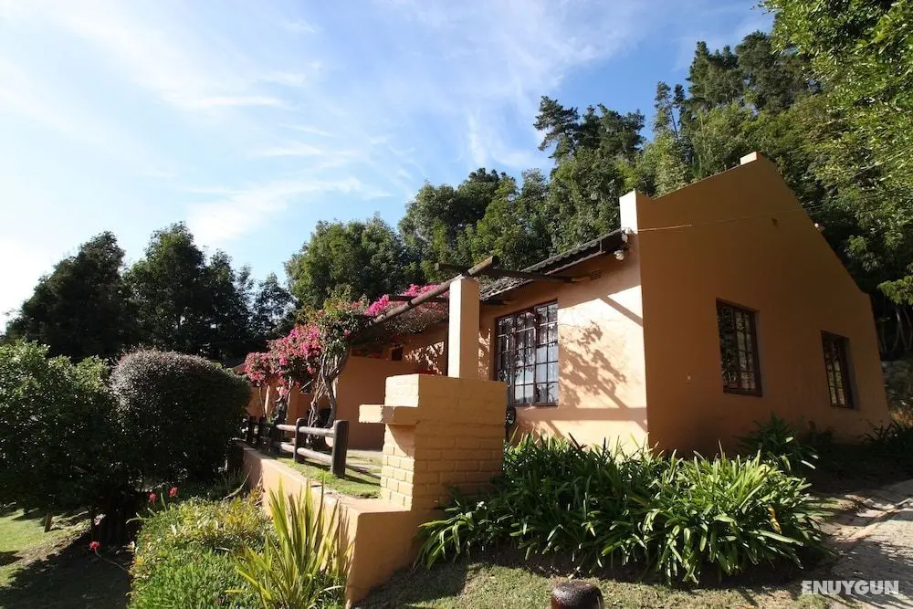 Gooderson Knysna Chalets - Öne Çıkan Resim