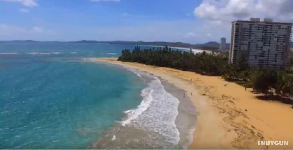 Gorgeous Beach Front Studio - Plaj