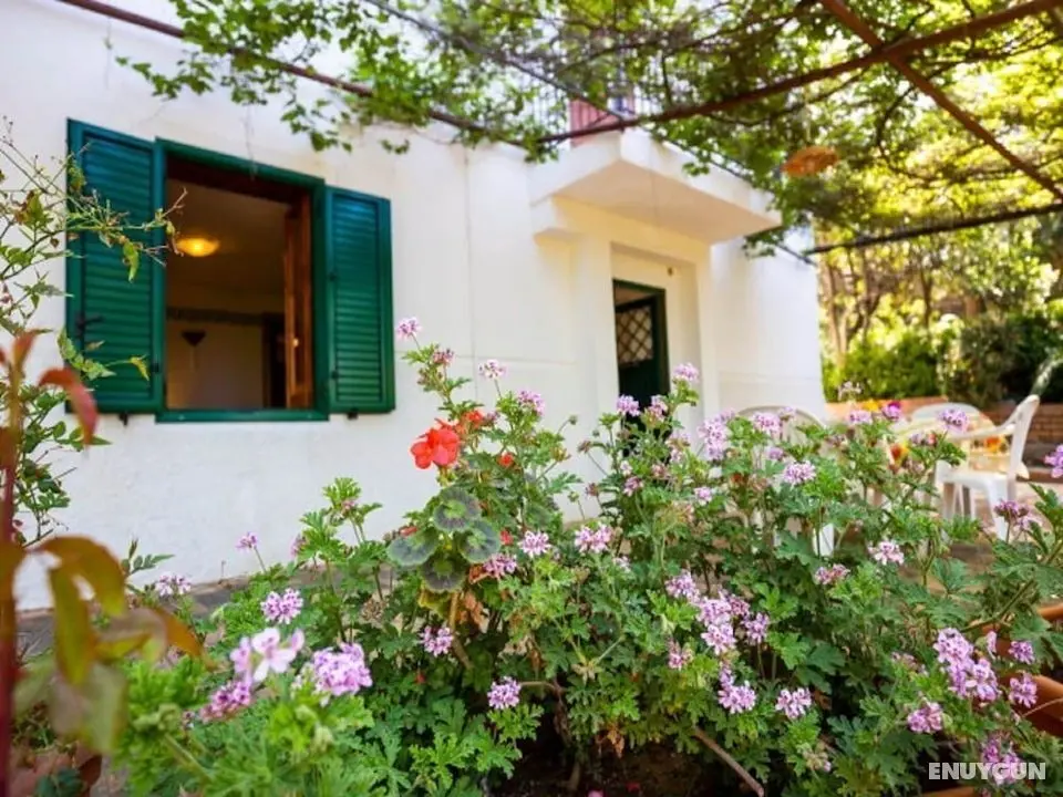 Gorgeous Villa in Ricadi With Shared Garden - Öne Çıkan Resim