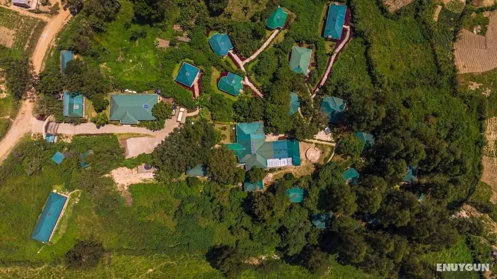 Gorilla Safari Lodge - Öne Çıkan Resim