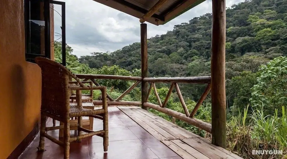 Gorilla Valley Lodge - Öne Çıkan Resim