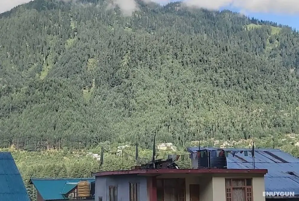 Goroomgo Bros Hostel Manali - İç Mekan
