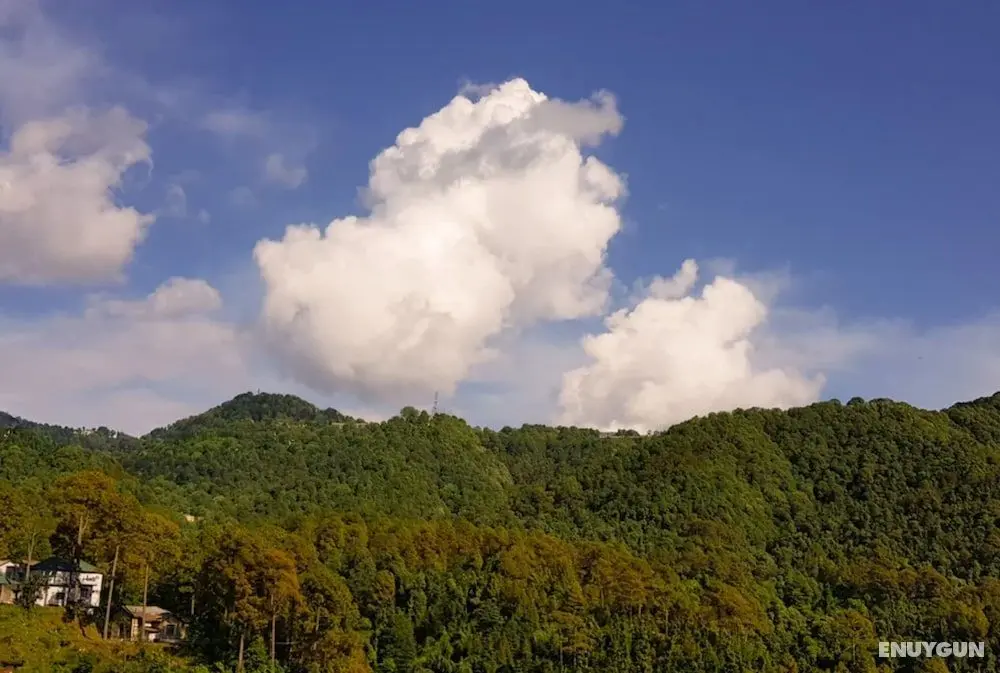 Goroomgo Mohan Home Stay Dalhousie - Dış Mekan