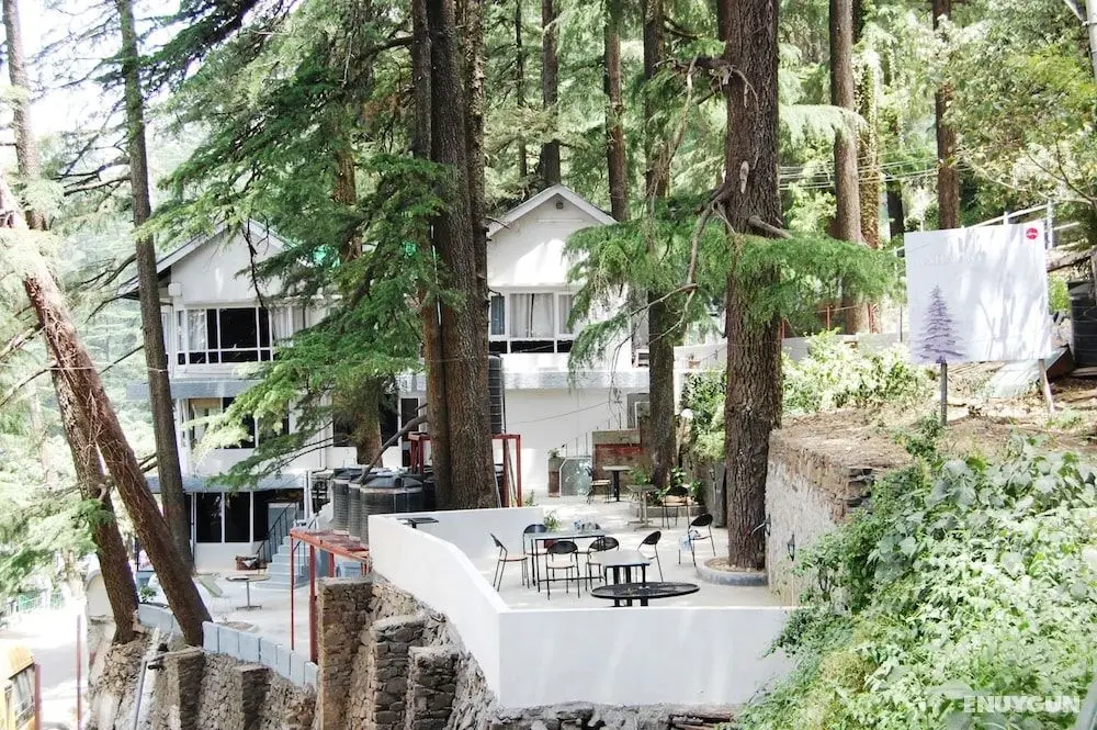 Goroomgo Rahat Regency Shimla - Dış Mekan