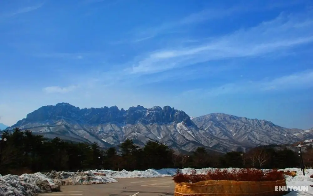 Goseong Paradise Cove Pension - Misafir Tesisleri ve Hizmetleri