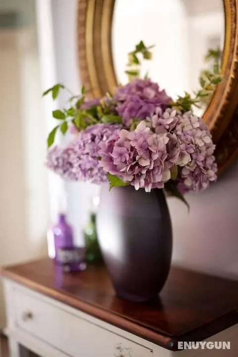 Goss Hall Bed & Breakfast - Lobi