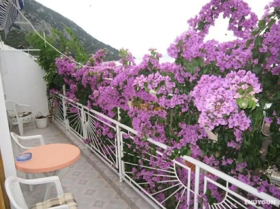 Graci - 20 m From Pebble Beach - A1 - Öne Çıkan Resim