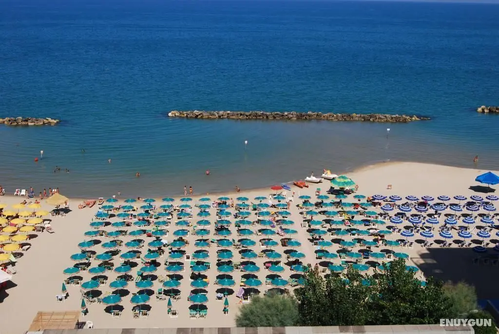 Grand Adriatico - Genel
