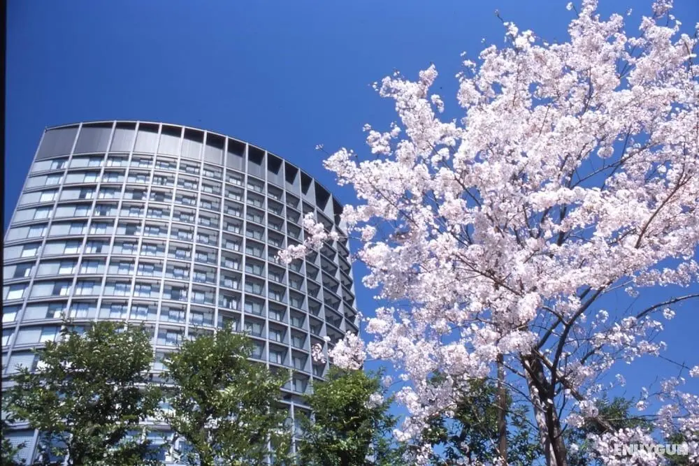 Hotel Grand Arc Hanzomon - Öne Çıkan Resim