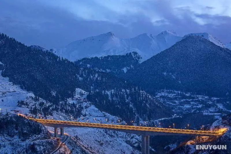 Grand Forest Metsovo - Genel