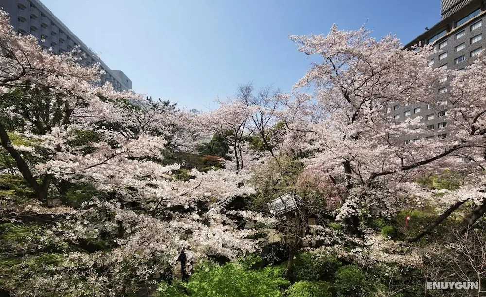 Grand Prince Hotel Takanawa - Öne Çıkan Resim