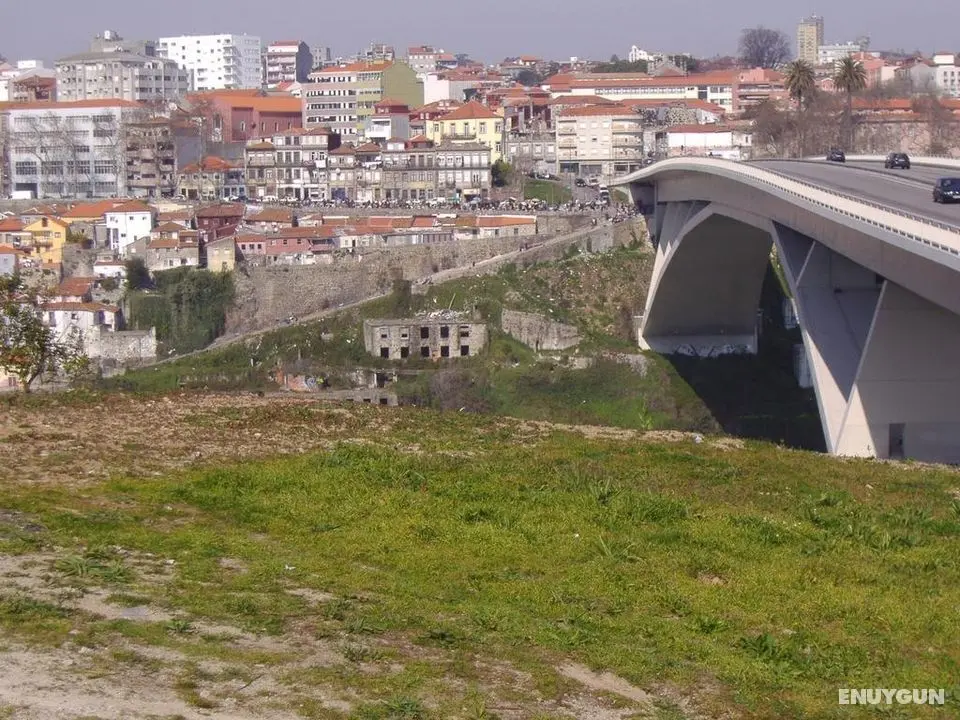 Grande Rio - Genel