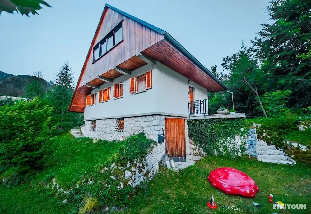 Grandpa's Mountain House - Öne Çıkan Resim