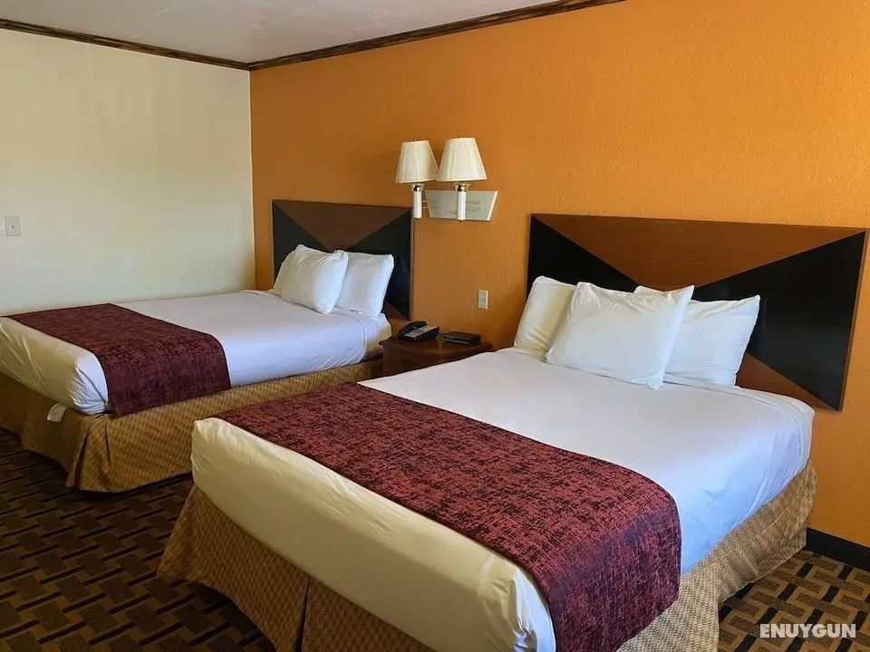 Green Bird Inn - Öne Çıkan Resim
