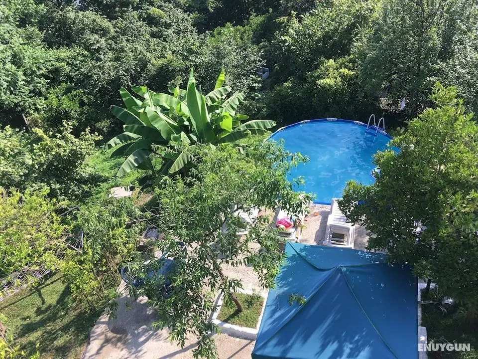 Green Cape Guest House - Öne Çıkan Resim