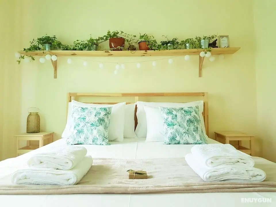 Green Element Guesthouse - Öne Çıkan Resim