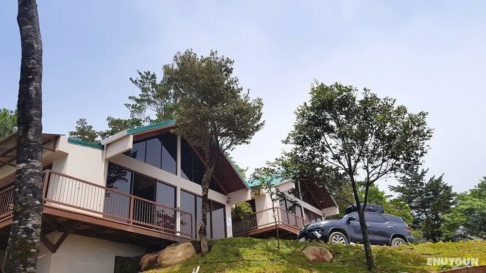 Green Forest Vacations Homes - Öne Çıkan Resim
