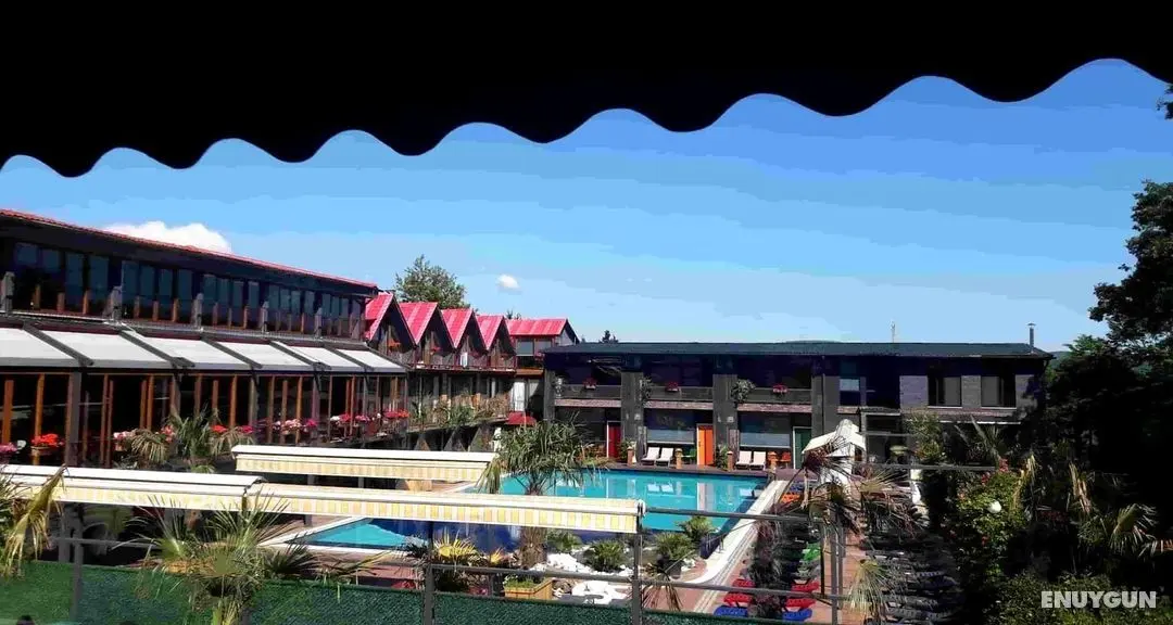 Green House Garden Park - Havuz
