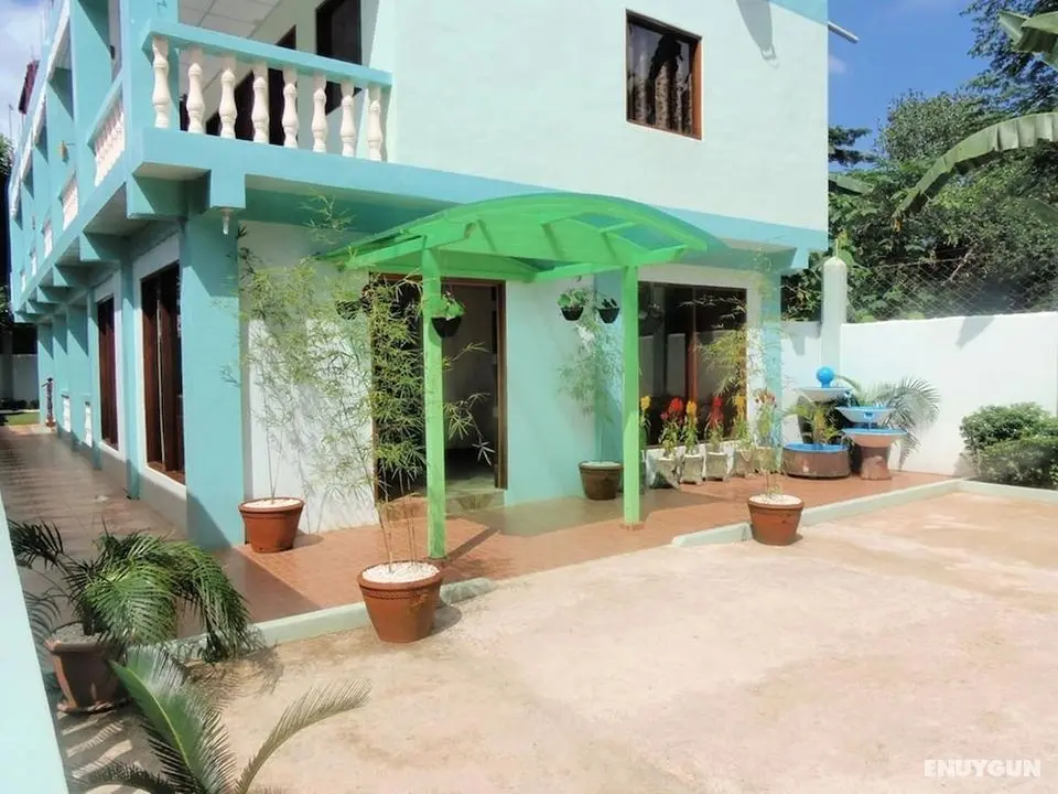 Green House Puerto - Öne Çıkan Resim