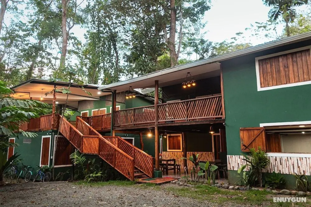 Green Jungle House - Öne Çıkan Resim