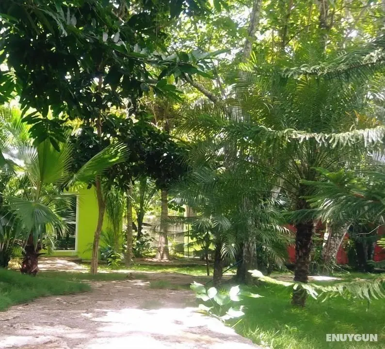 Green Jungle Hotel y Restaurante - Dış Mekanlar