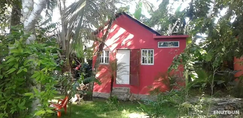 Green Jungle Hotel y Restaurante - Öne Çıkan Resim