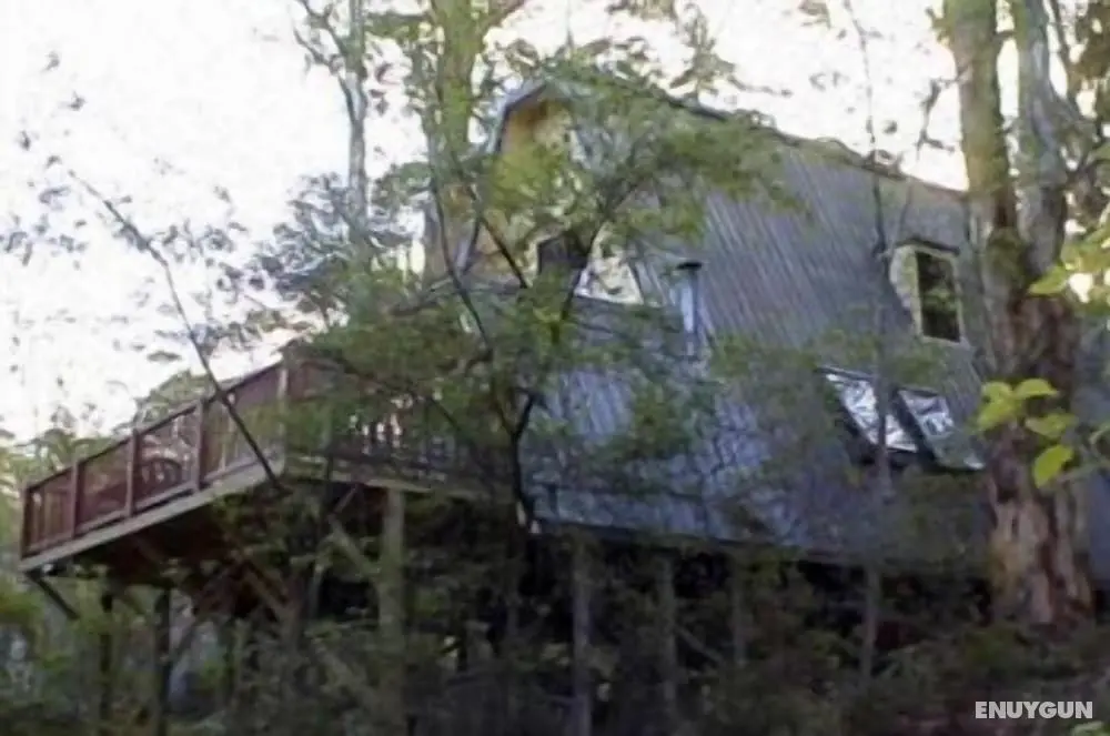 Green Leaves Cabin - Öne Çıkan Resim