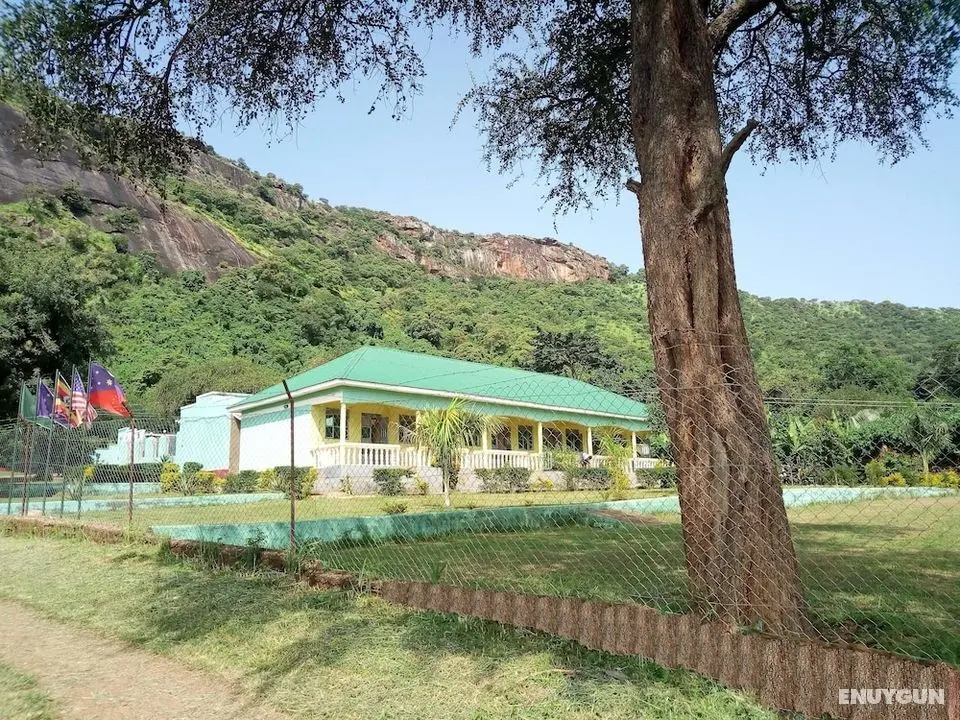 Green Oasis Guest House and Tours - Öne Çıkan Resim