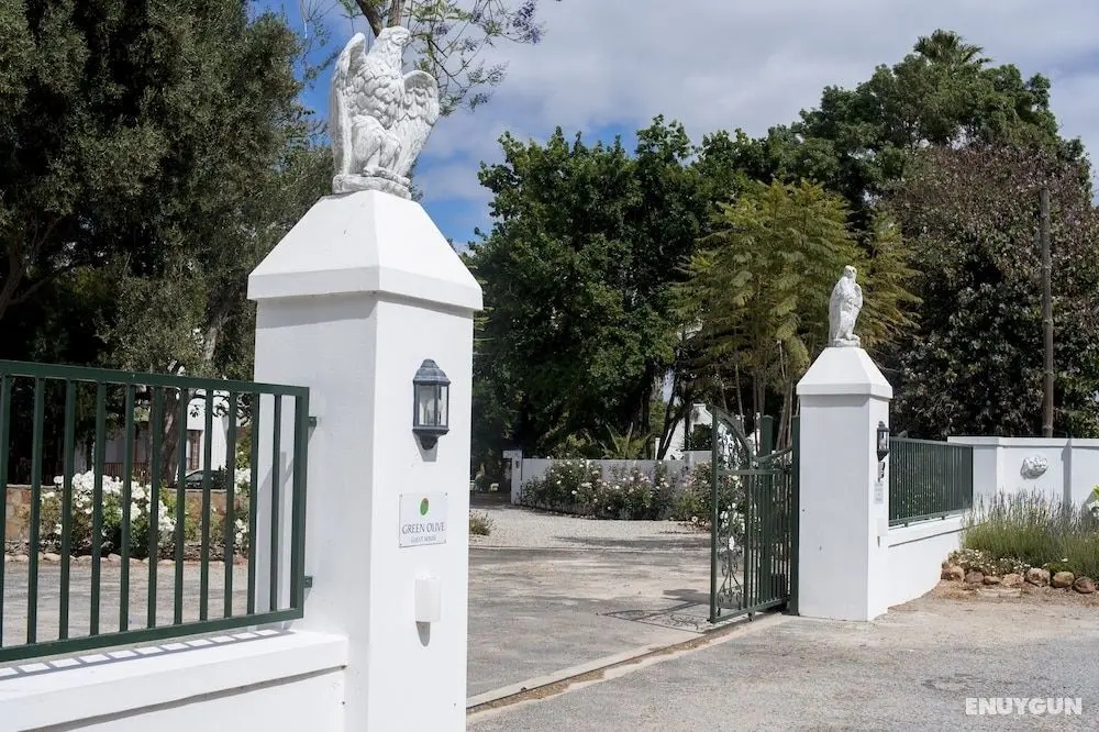Green Olive Guesthouse - Öne Çıkan Resim