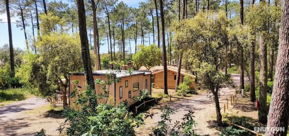 Green Resort - Öne Çıkan Resim
