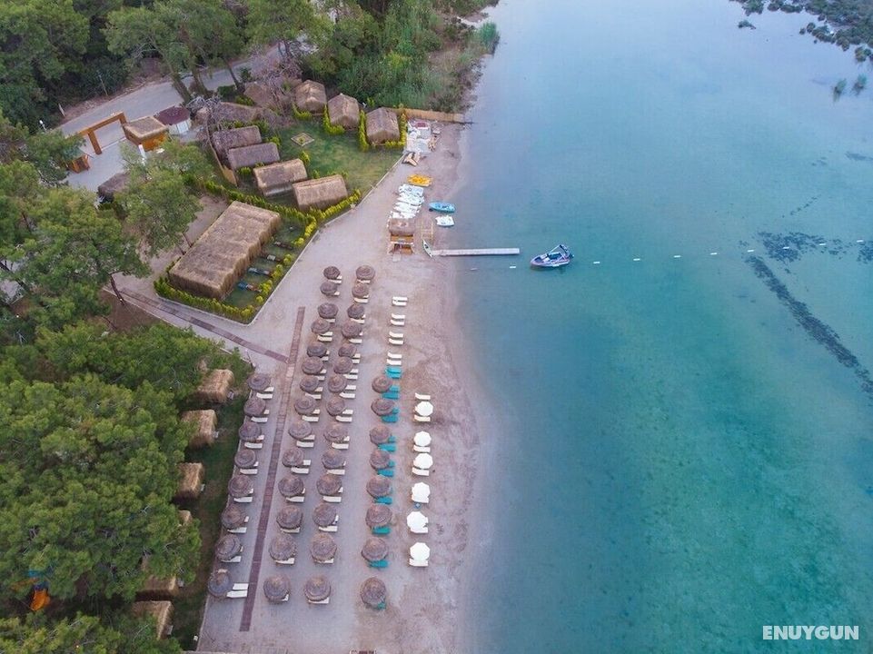 Green Pine Beach & Bungalows
